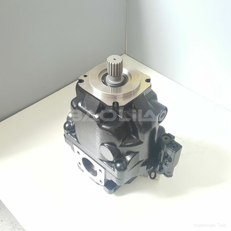 ERR100BLS2425NNN3S4BPA1NNNNNNNNNN hydraulic oil pump litpic