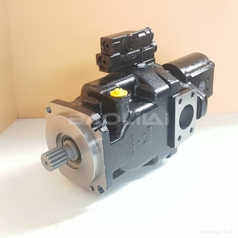 FRR074BPC14NNNNN3S1N4A1NNNNNNNNNN hydraulic pump litpic