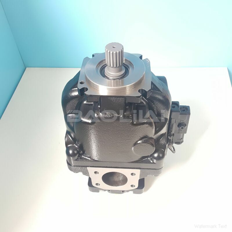 ERL100BLS1820NNN3S1NLA1NNNNNNNNNN hydraulic pump litpic