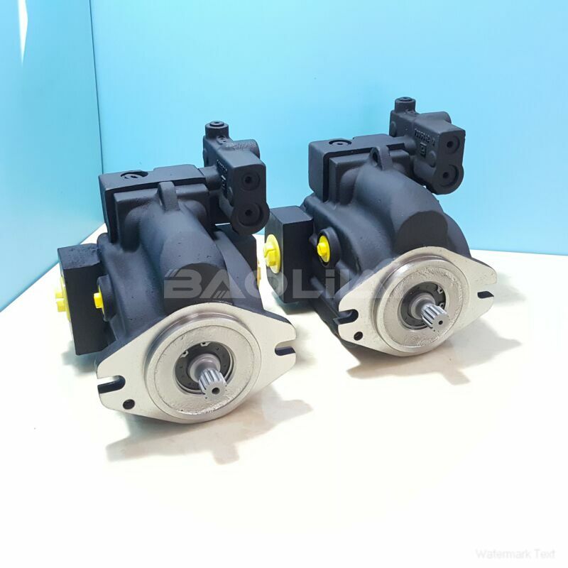 LRL025CLS2121NNN3C3NFA6NPLBNNNNNN hydraulic pump litpic